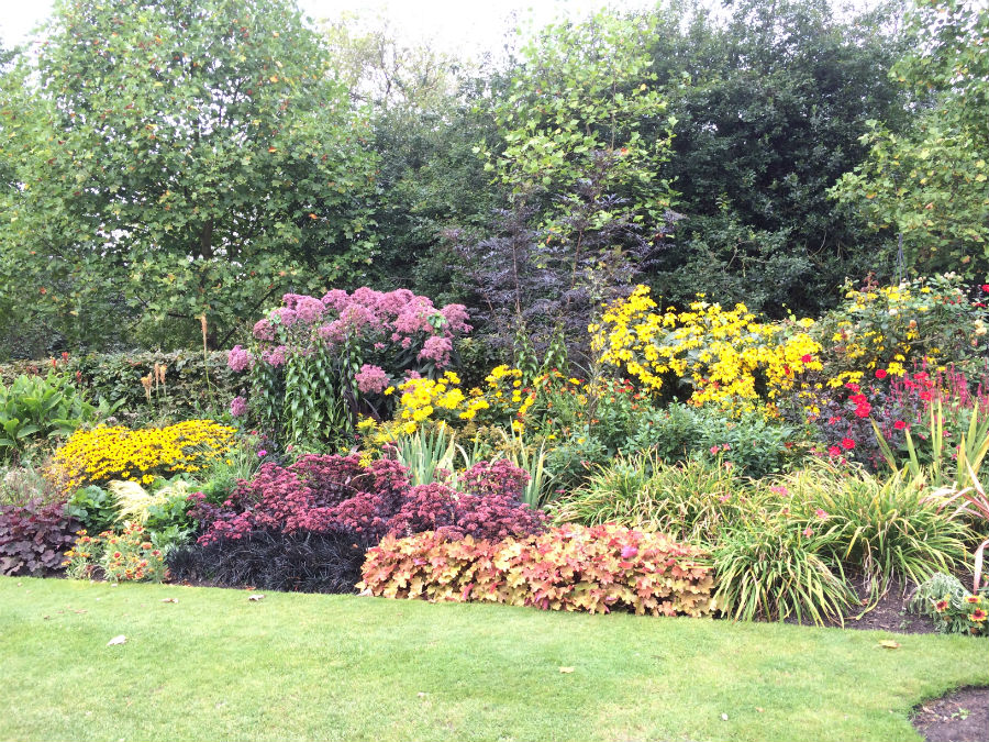 Regents Park Flowers Aug '14